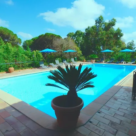 Parasols * Frejus